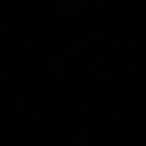 Meet your Posher, Carly